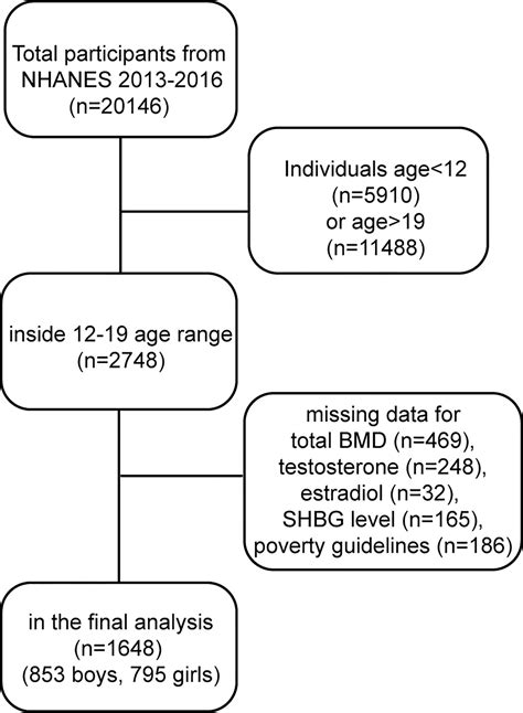 Frontiers Association Of Sex Hormones And Sex Hormone Binding Globulin Levels With Bone