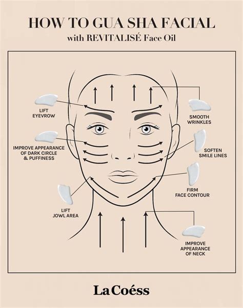 Gua Sha Diagram Gua Sha Step By Step Tutorial