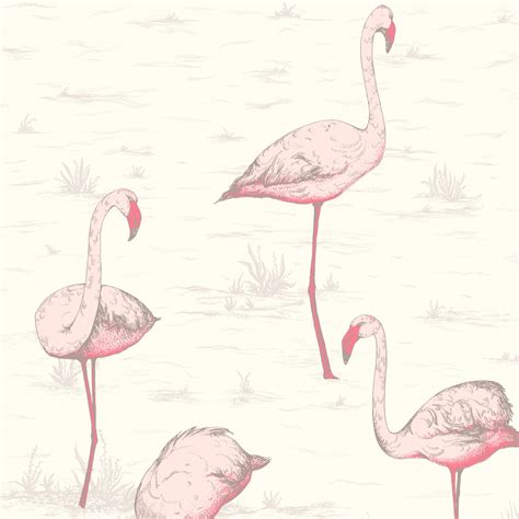 Papier Peint Animaux Flamingos Cole And Son