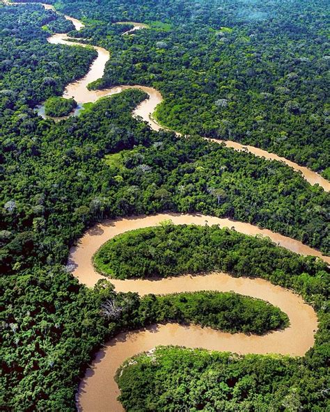 Curiosidades Da Floresta Amazônica - Imagens Da Floresta Amazonica