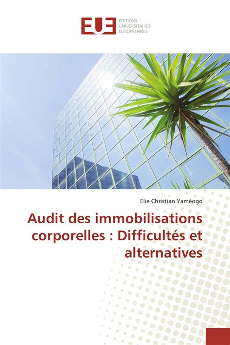 Audit Des Immobilisations Corporelles Difficult S Et Alternatives