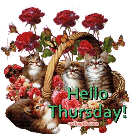 Happy Thursday Sticker - Happy Thursday - Discover & Share GIFs