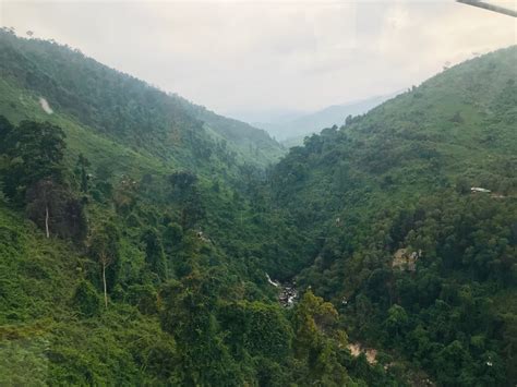 hoa vang vietnam polarsteps