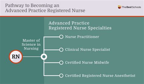 MSN DNP Which Nursing Degree Is Right For You 58 OFF