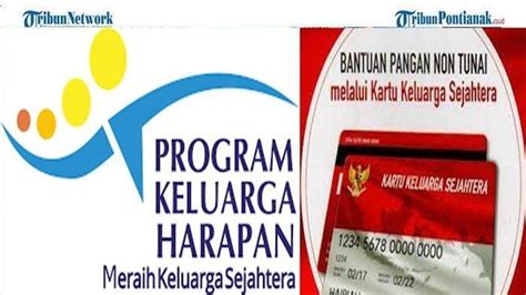 Bantuan PKH Dan BPNT 2024 Kapan Cair Simak Jadwal Penyaluran Bansos