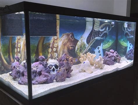 Aquarium Background Customer Gallery — Aquarium Vinyl