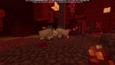 Minecraft guide: How to tame/breed hoglins in the Nether Update ...