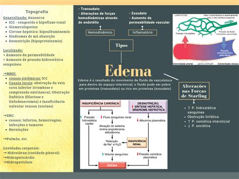 Mapa Mental Sobre Edema Fisiopatologia Humana The Best Porn Website