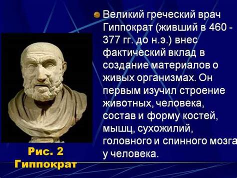Краткая биография Гиппократа, достижения >