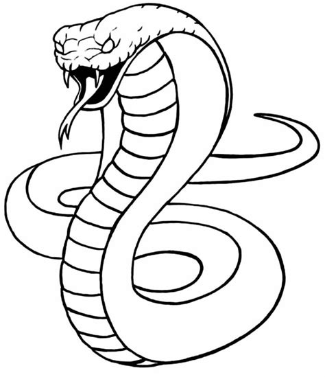 Imagem Cobra Para Colorir