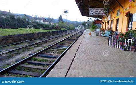 Pattipola Station Sri Lanka Editorial Stock Image Image Of Highest