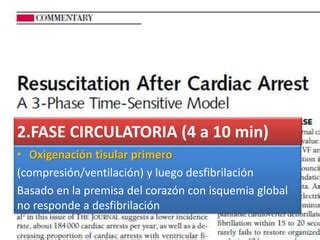 Fases Del Paro Cardio Respiratorio Jama Ppt