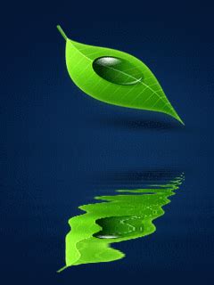 green leaf GIF - Download & Share on PHONEKY