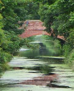 Burstwick Drain In Hedon Paul Harrop Cc By Sa 2 0 Geograph Britain