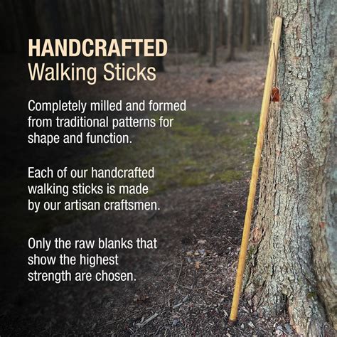 Twisted Trail Blazer Handcrafted Walking Stick 55 Brazos Walking Sticks