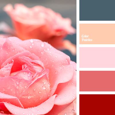 orange-peach | Color Palette Ideas