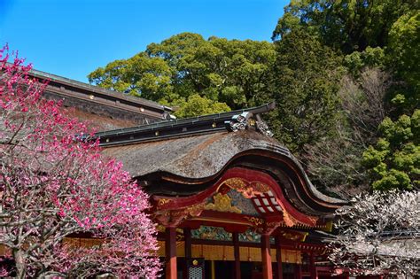 歴史も自然もアートも楽しめる！太宰府天満宮の観光ガイド Good Luck Trip