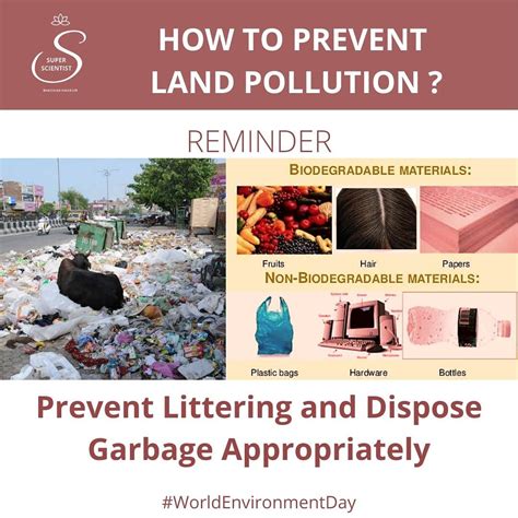 How to Prevent Land Pollution | Prevention, Pollution, Fun facts