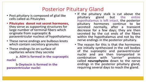 Posterior Pituitary Gland The Guyton And Hall Physiology PPT