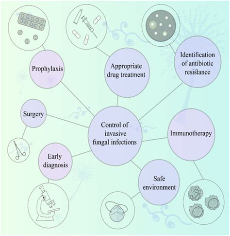 Full Article An Overview Of The Management Of The Most Important