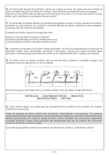 JORNAL R 7ª Modelos de Prova de Ciências para o 7º ano para imprimir