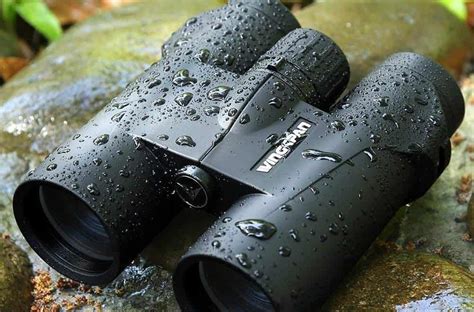 5 Best Waterproof Binoculars (Winter 2025) – The Complete Guide