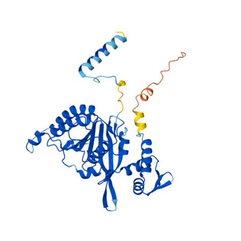 Rcsb Pdb Af Afp F Computed Structure Model Of Protein Reca