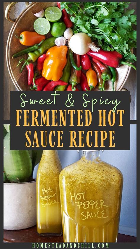 Easy Fermented Hot Sauce Recipe How To Ferment Peppers Homestead And