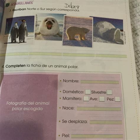 4 Completen la ficha de un animal polar Fotografía del animal polar