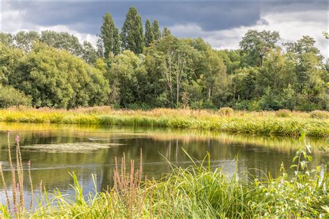 London Wetland Centre London Wildlife London Walks