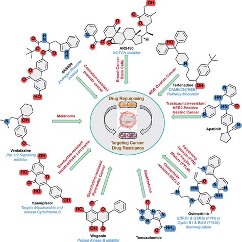 Frontiers Editorial Adopting Drug Repurposing To Overcome Drug