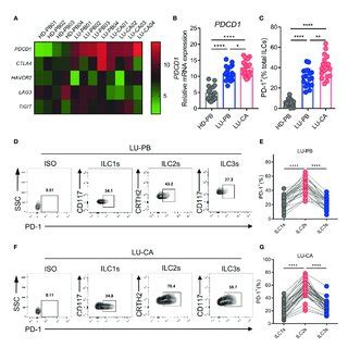 MRNA And Protein Expression Of Immune Checkpoint Molecules Of ILC2s