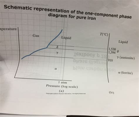 Schematic Representation Of The One Component Phase