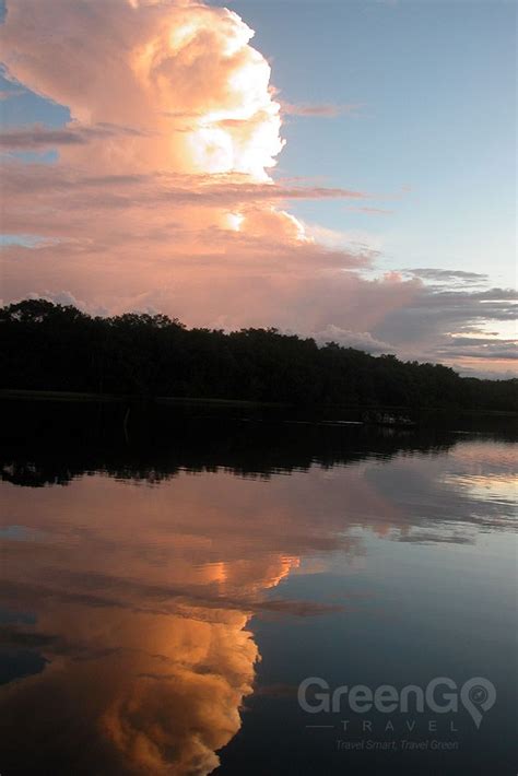 Ecuador Amazon Rainforest | Ecuador landscape, Amazon rainforest ...