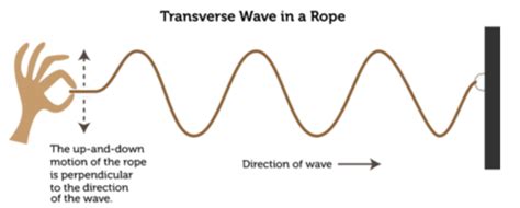 Igcse Physics Wave Properties Flashcards Quizlet