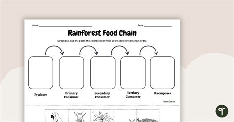 Rainforest Food Chain - Cut and Paste Worksheet | Teach Starter - Worksheets Library