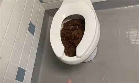 Massive Shit On High School Rpoop