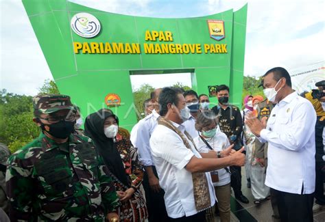 MENTERI KELAUTAN DAN PERIKANAN RESMIKAN MANGROVE PARIAMAN ANTARA Foto