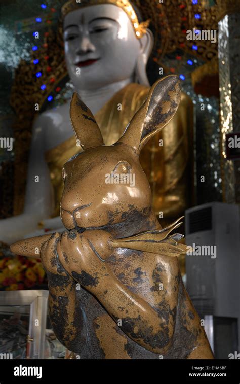 Buddhist Rabbit Hi Res Stock Photography And Images Alamy