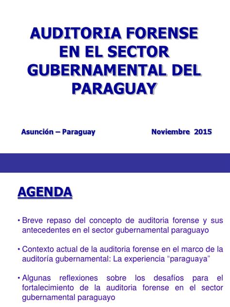 Auditoria Forense En El Sector Gubernamental En El Paraguay Pdf