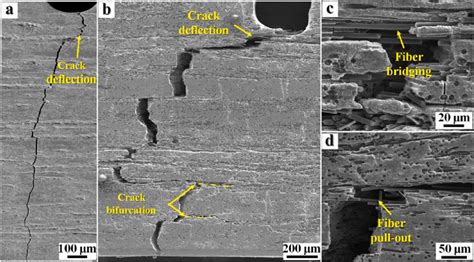 The Typical Microstructures Of Crack Propagation And Fracture