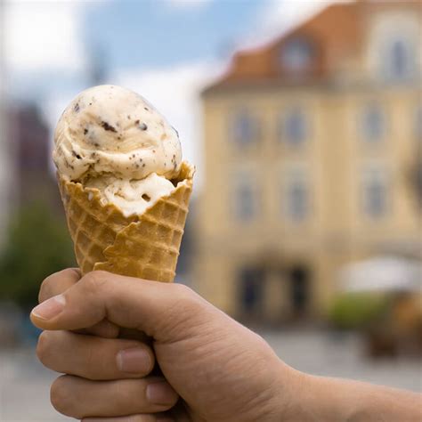 Lody słony karmel W kubku Lody Cukiernia Sowa