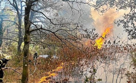 Incendie Dans La Forêt De Brocéliande La Progression Des Flammes En