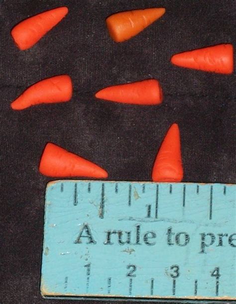 Special For Christine 12 Half Inch Carrot Noses For Etsy Handmade