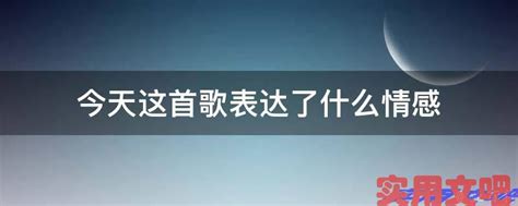 今天这首歌表达了什么情感实用经验实用文吧