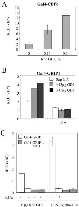 Regulation Of Grip And Cbp Coactivator Activity By Rho Gdi Modulates