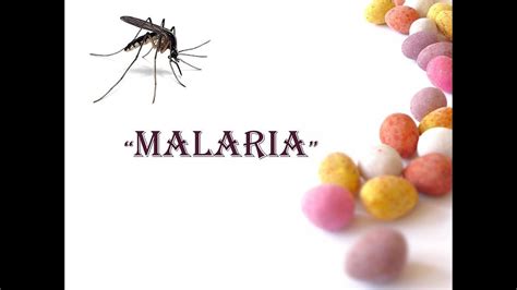 Malaria Causes Symptoms Diagnosis Treatment Pathology Powerpoint Presentation Youtube