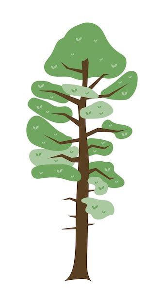 Premium Vector Tall Tree With Branches And Green Leaves In Crown