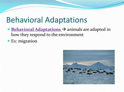 Ppt Adaptation Powerpoint Presentation Free Download Id2849646