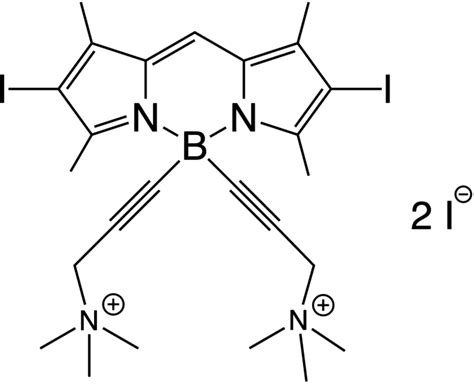 新型硼二吡咯亚甲基 BODIPY 衍生物通过过氧化氢增强白色念珠菌的光灭活作用 Photochemical